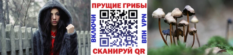 Галлюциногенные грибы прущие грибы  hydra как зайти  Горбатов 