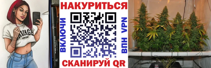 где купить   Горбатов  Шишки марихуана семена 